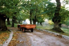 civilta_contadina-10