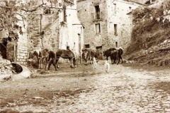 civilta_contadina-2