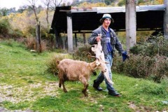 civilta_contadina-9