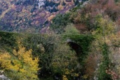 2_roscigno_colore-10-1